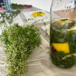 Was wächst und krabbelt in meinem Garten