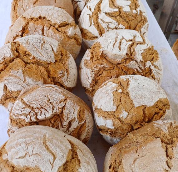 Brotbackofen beim Widum